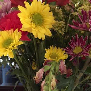 Meet your Posher, Maria